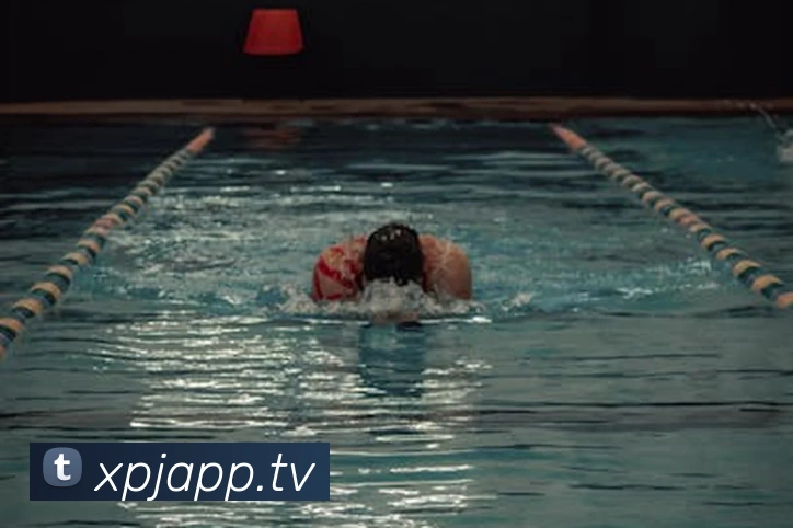 澳门新葡京官网发展历程